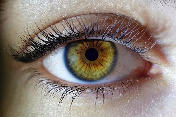 Entenda como o olho humano funciona (1)